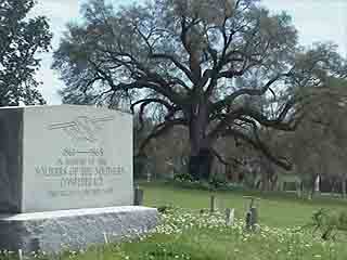  Natchez:  ミシシッピ州:  アメリカ合衆国:  
 
 Memorial Park Cemetery